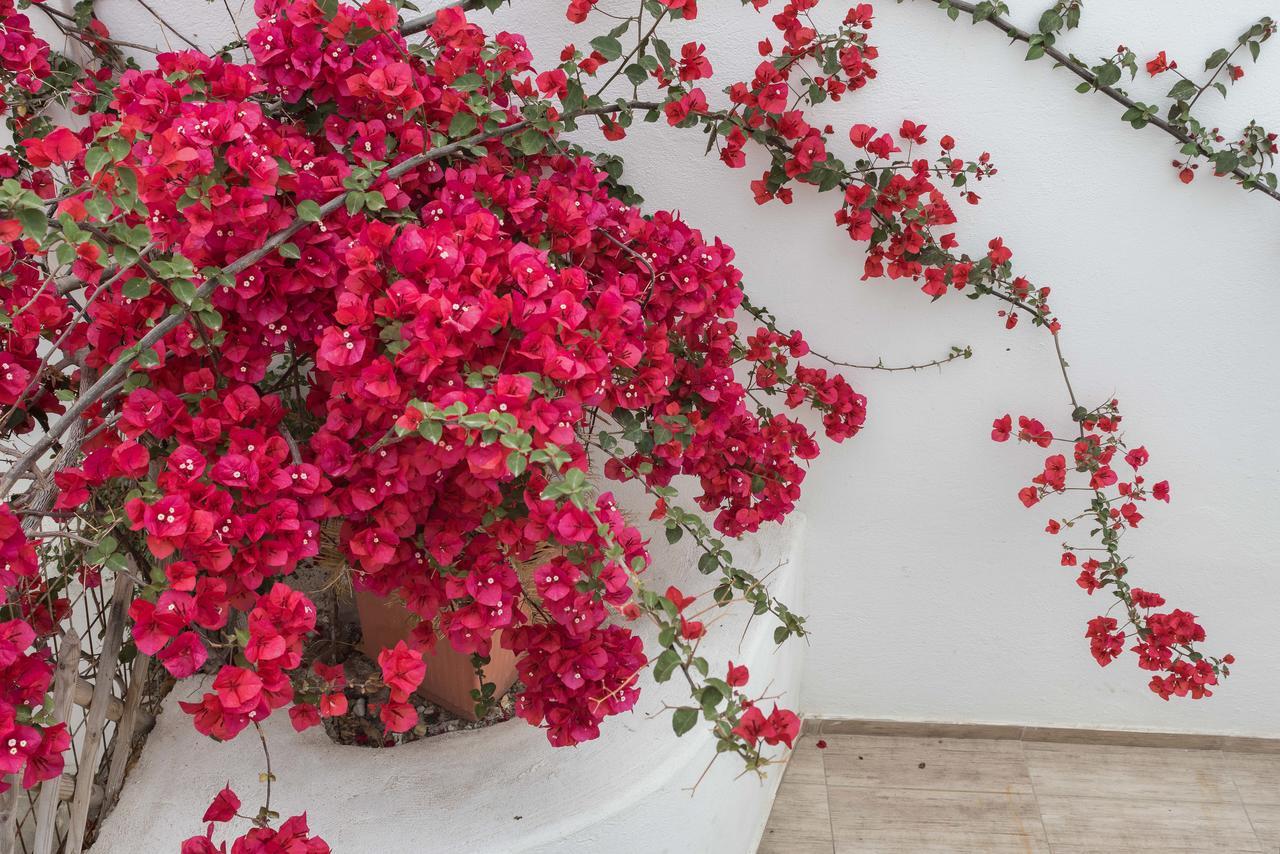 Depis Suites Naxos City Zewnętrze zdjęcie
